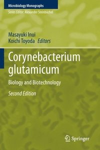 bokomslag Corynebacterium glutamicum
