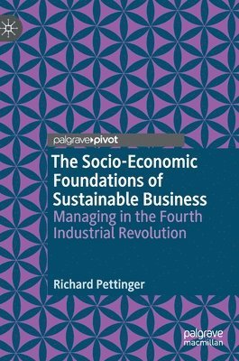 Richard Pettinger - Socio-Economic Foundations of Sustainable Business, Inbunden