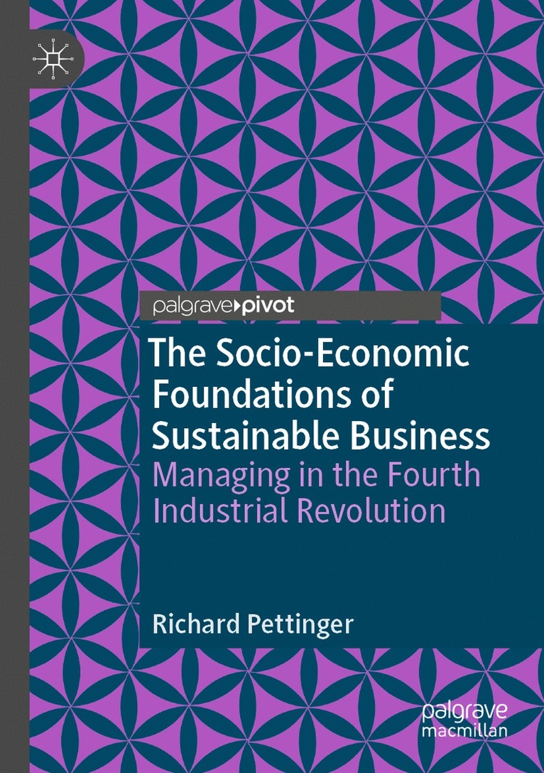 Richard Pettinger - Socio-Economic Foundations of Sustainable Business, Häftad