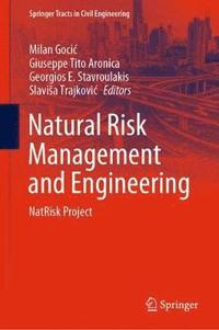 bokomslag Natural Risk Management and Engineering