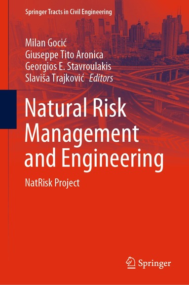 Milan Gocić, Giuseppe Tito Aronica, Georgios E. Stavroulakis, Slaviša Trajković - Natural Risk Management and Engineering, Inbunden