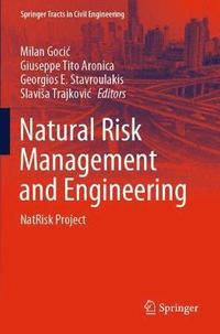 bokomslag Natural Risk Management and Engineering