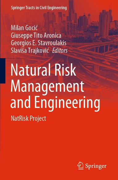 Milan Gocić, Giuseppe Tito Aronica, Georgios E. Stavroulakis, Slaviša Trajković - Natural Risk Management and Engineering, Häftad