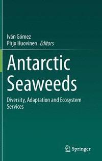bokomslag Antarctic Seaweeds