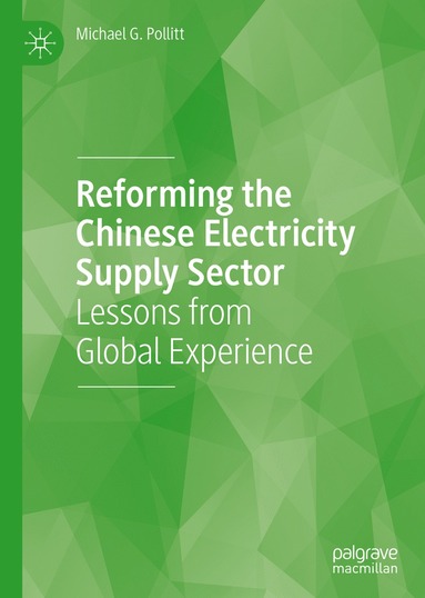 bokomslag Reforming the Chinese Electricity Supply Sector