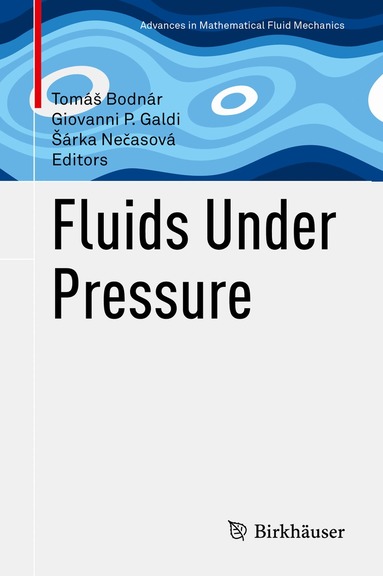 Tomáš Bodnár, Giovanni P. Galdi, Šárka Nečasová - Fluids Under Pressure, Inbunden