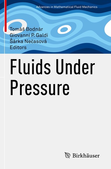 Tomáš Bodnár, Giovanni P. Galdi, Šárka Nečasová - Fluids Under Pressure, Häftad