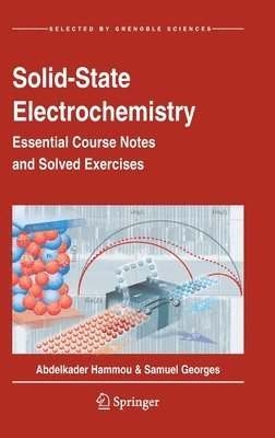 bokomslag Solid-State Electrochemistry