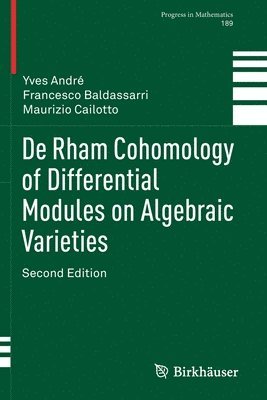 De Rham Cohomology of Differential Modules on Algebraic Varieties 1