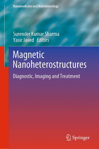 Surender Kumar Sharma, Yasir Javed - Magnetic Nanoheterostructures, Inbunden