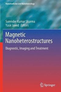 bokomslag Magnetic Nanoheterostructures