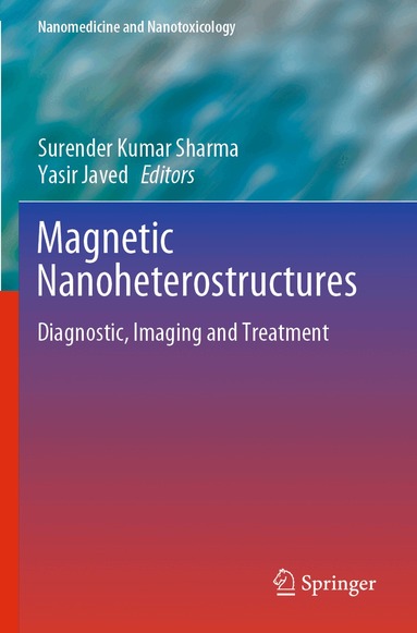 Surender Kumar Sharma, Yasir Javed - Magnetic Nanoheterostructures, Häftad