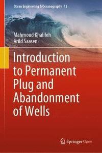 bokomslag Introduction to Permanent Plug and Abandonment of Wells