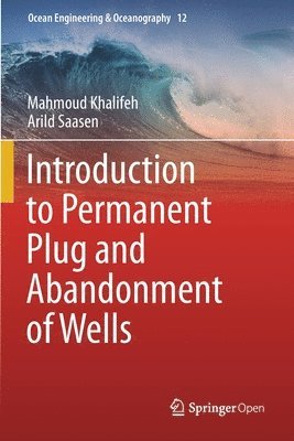 bokomslag Introduction to Permanent Plug and Abandonment of Wells