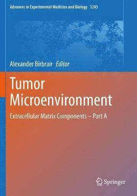 bokomslag Tumor Microenvironment