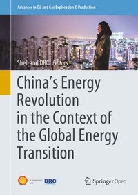 bokomslag China's Energy Revolution in the Context of the Global Energy Transition
