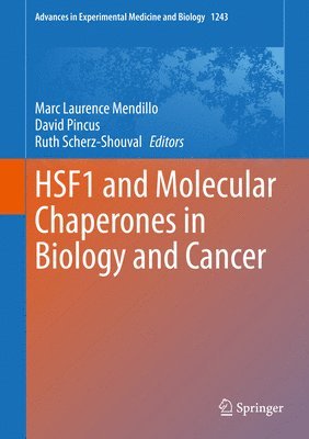 bokomslag HSF1 and Molecular Chaperones in Biology and Cancer