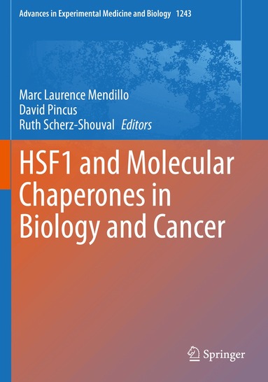 Marc Laurence Mendillo, David Pincus, Ruth Scherz-Shouval - HSF1 and Molecular Chaperones in Biology and Cancer, Häftad