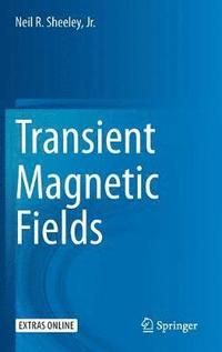 bokomslag Transient Magnetic Fields