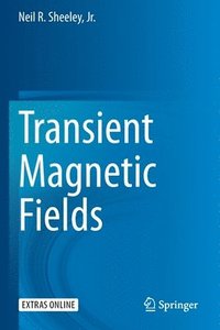 bokomslag Transient Magnetic Fields