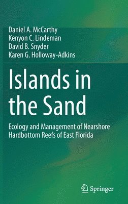 Islands in the Sand 1