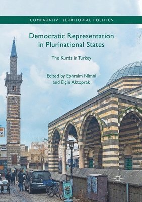 bokomslag Democratic Representation in Plurinational States