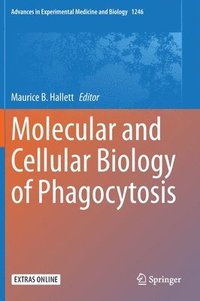 bokomslag Molecular and Cellular Biology of Phagocytosis