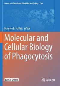 bokomslag Molecular and Cellular Biology of Phagocytosis