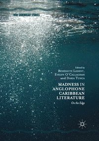 bokomslag Madness in Anglophone Caribbean Literature