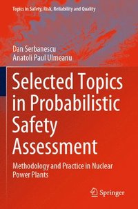 bokomslag Selected Topics in Probabilistic Safety Assessment