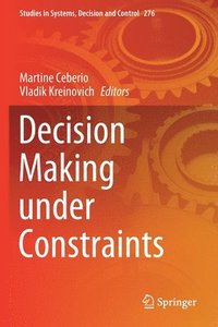 bokomslag Decision Making under Constraints