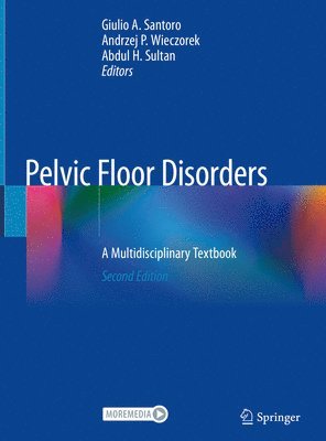 bokomslag Pelvic Floor Disorders