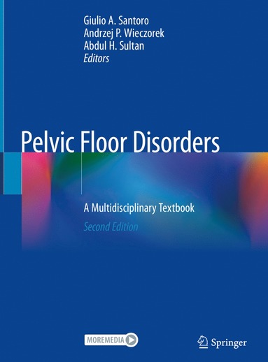 bokomslag Pelvic Floor Disorders