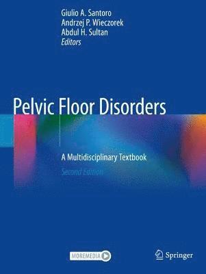 bokomslag Pelvic Floor Disorders