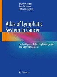bokomslag Atlas of Lymphatic System in Cancer