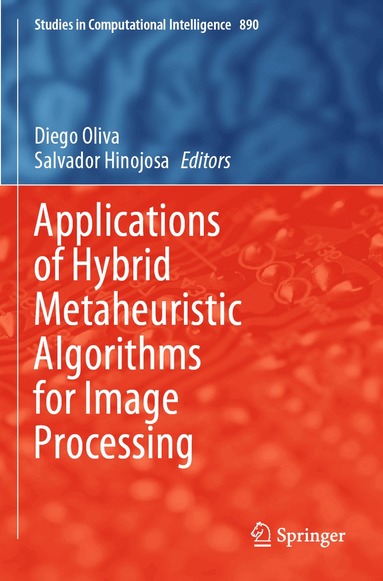 Diego Oliva, Salvador Hinojosa - Applications of Hybrid Metaheuristic Algorithms for Image Processing, Häftad