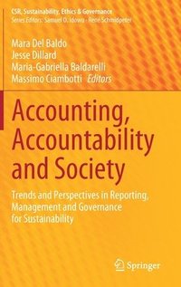 bokomslag Accounting, Accountability and Society