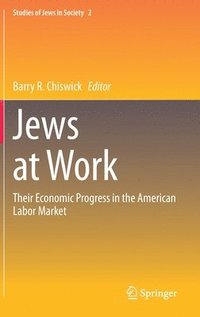 bokomslag Jews at Work