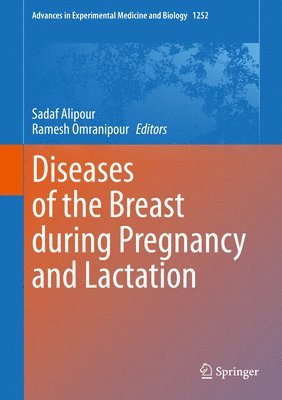 bokomslag Diseases of the Breast during Pregnancy and Lactation