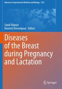 bokomslag Diseases of the Breast during Pregnancy and Lactation