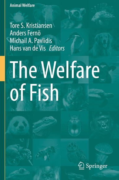 Tore S. Kristiansen, Anders Fernö, Michail A. Pavlidis, Hans van de Vis - Welfare of Fish, Häftad