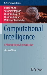 bokomslag Computational Intelligence