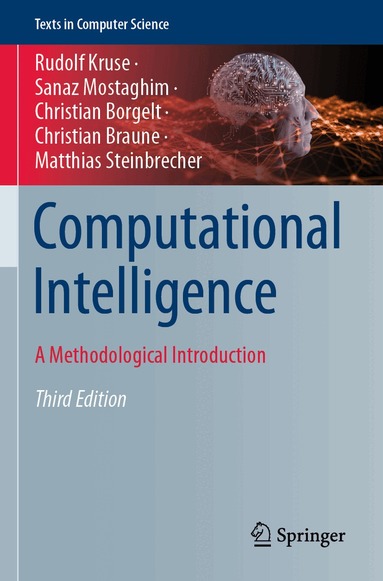 Rudolf Kruse, Sanaz Mostaghim, Christian Borgelt, Christian Braune, Matthias Steinbrecher - Computational Intelligence, Häftad