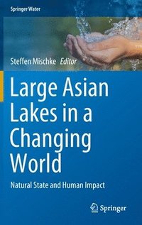 bokomslag Large Asian Lakes in a Changing World