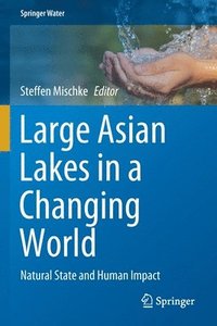 bokomslag Large Asian Lakes in a Changing World