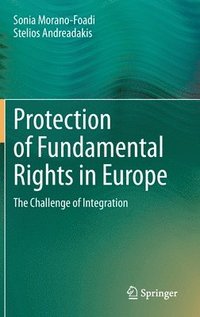 bokomslag Protection of Fundamental Rights in Europe