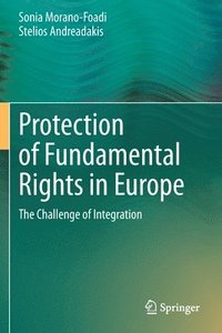 bokomslag Protection of Fundamental Rights in Europe