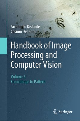 Arcangelo Distante, Cosimo Distante - Handbook of Image Processing and Computer Vision, Inbunden