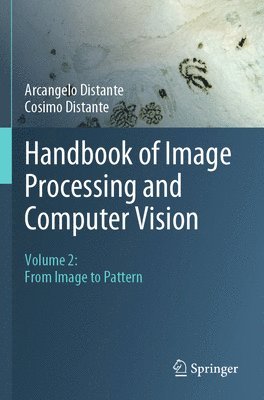 Arcangelo Distante, Cosimo Distante - Handbook of Image Processing and Computer Vision, Häftad