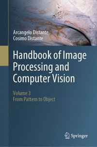 bokomslag Handbook of Image Processing and Computer Vision